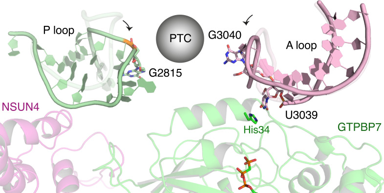 Figure 2—figure supplement 2.