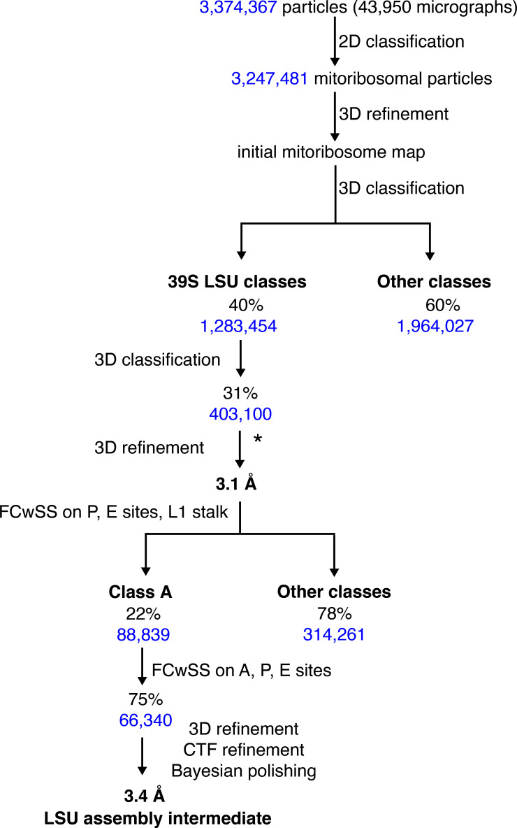 Figure 1—figure supplement 1.