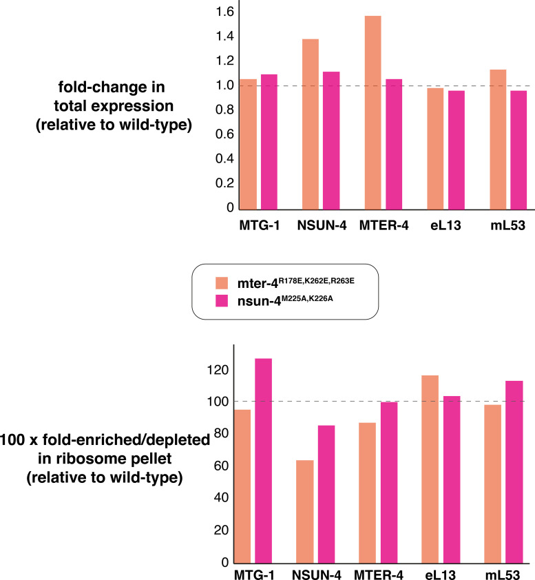 Figure 3—figure supplement 3.