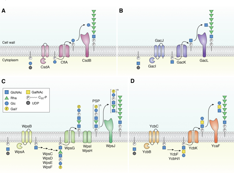 Figure 4