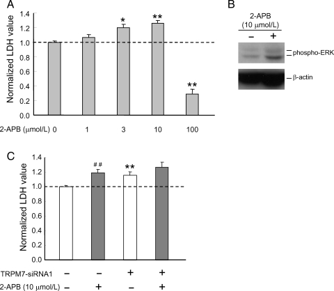 Figure 6