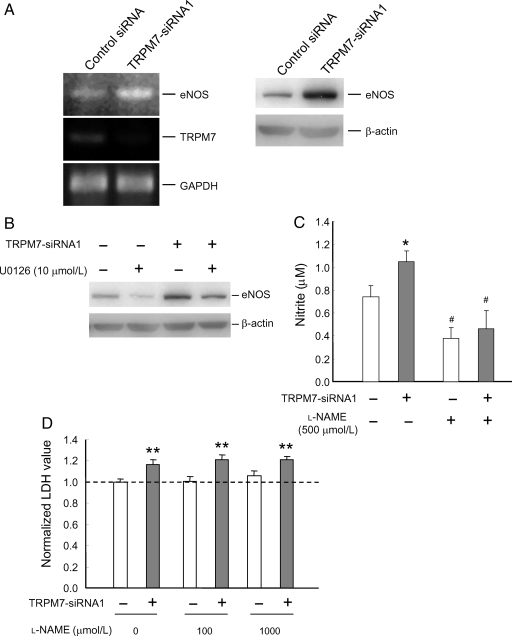 Figure 5