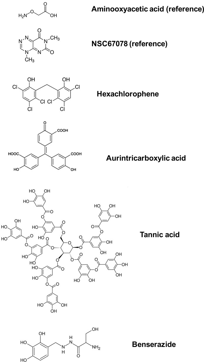 Fig. 3
