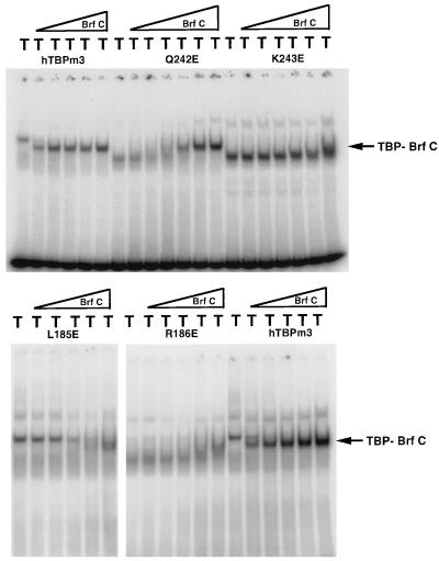 FIG. 5