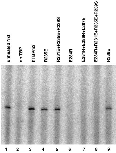 FIG. 8