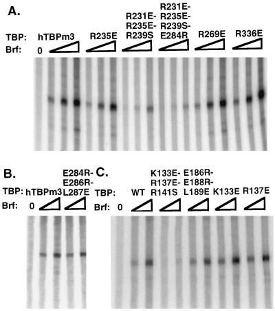 FIG. 7