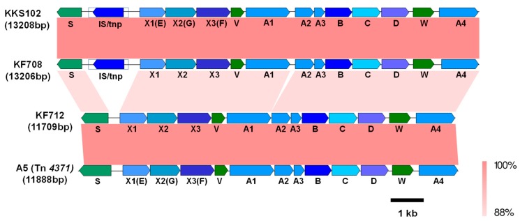 Figure 5