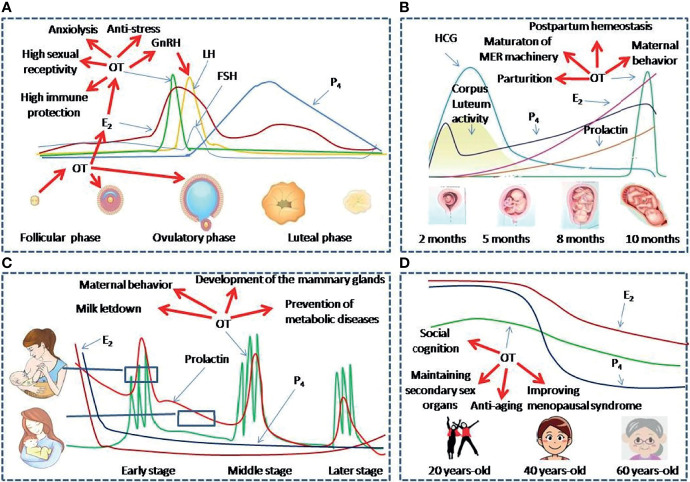 Figure 2