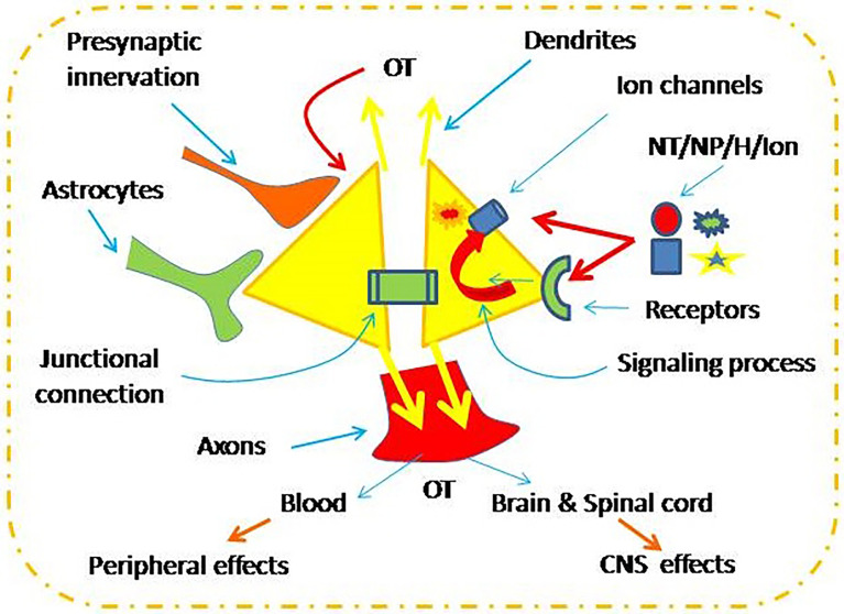 Figure 1