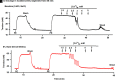 Fig. 8.