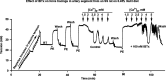 Fig. 10.