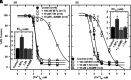 Fig. 11.