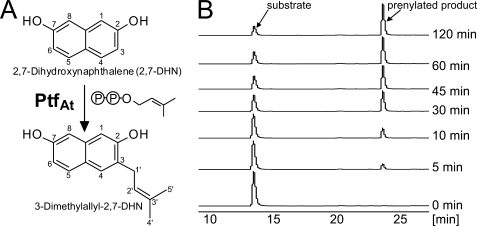 FIGURE 4.