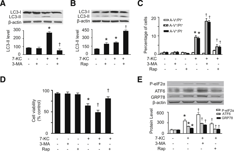 Figure 5