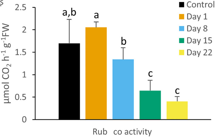 Figure 5