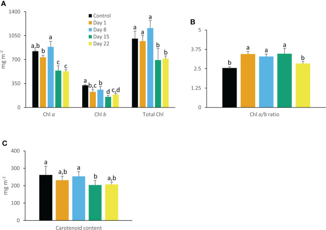 Figure 4