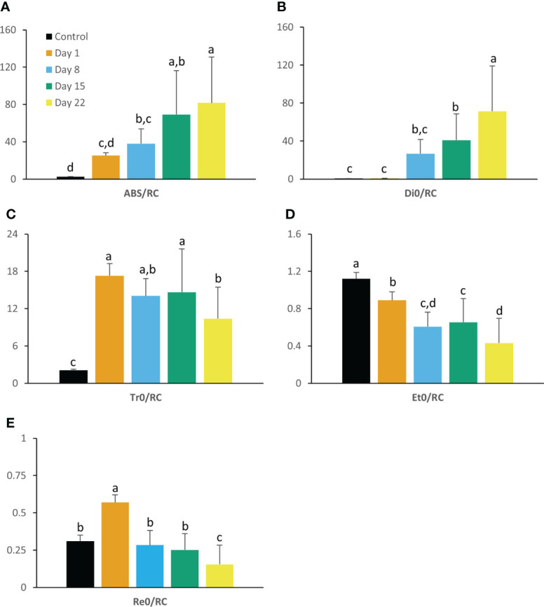 Figure 2