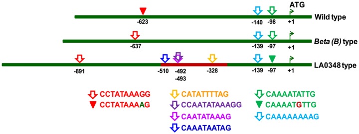 Fig 6