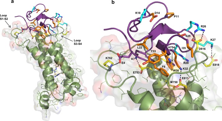 FIGURE 6.