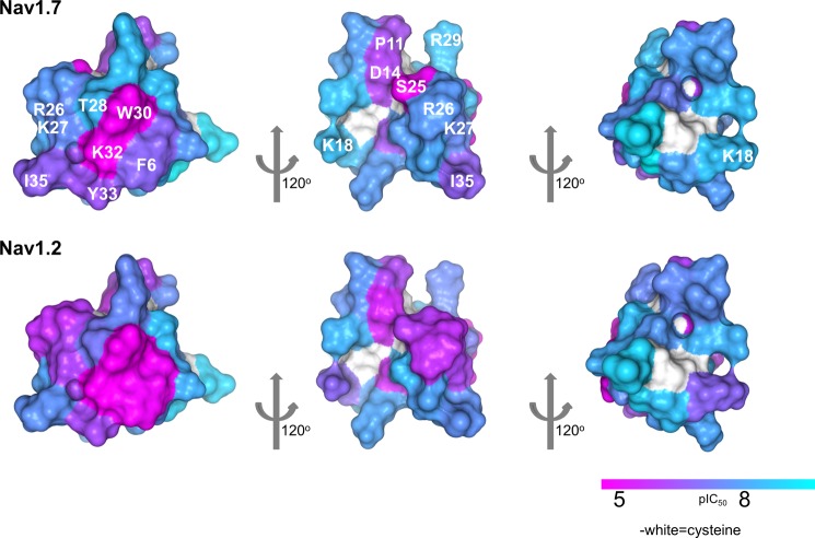 FIGURE 7.