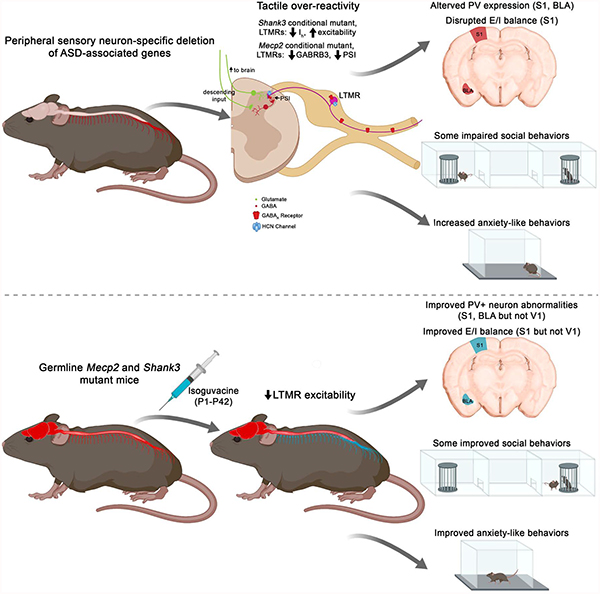 graphic file with name nihms-1534970-f0001.jpg