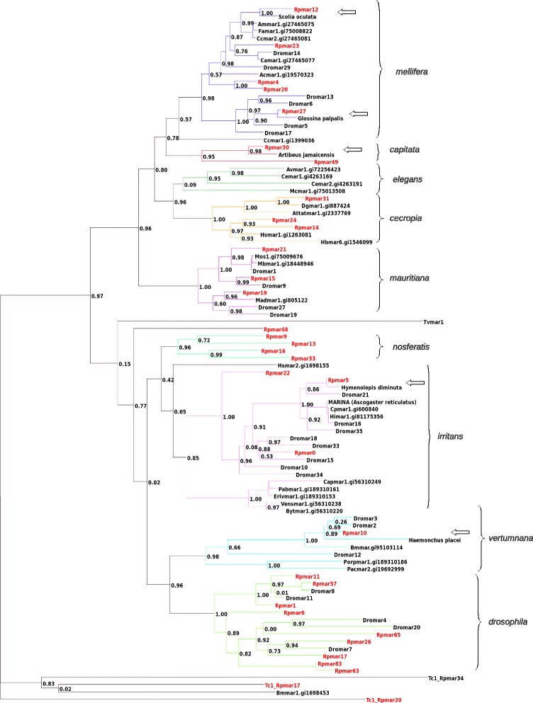 Fig. 2