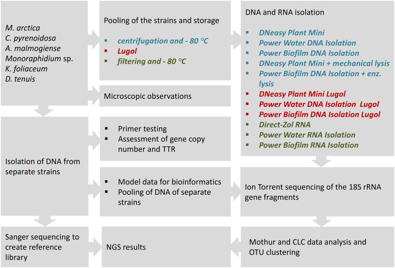 FIGURE 1