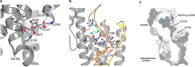 Extended Data Figure 4