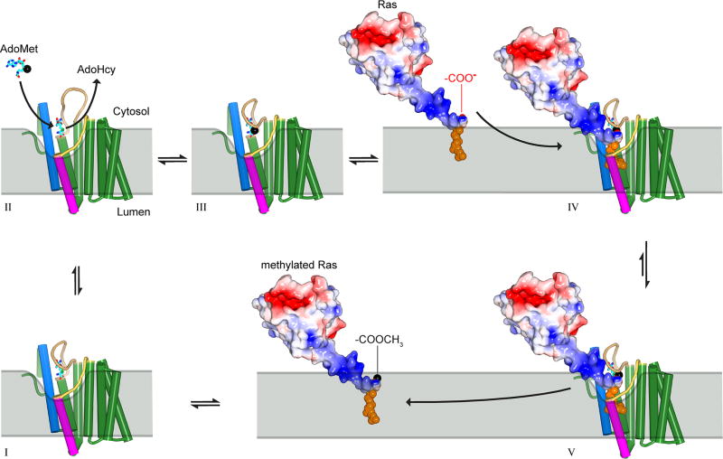 Extended Data Figure 9