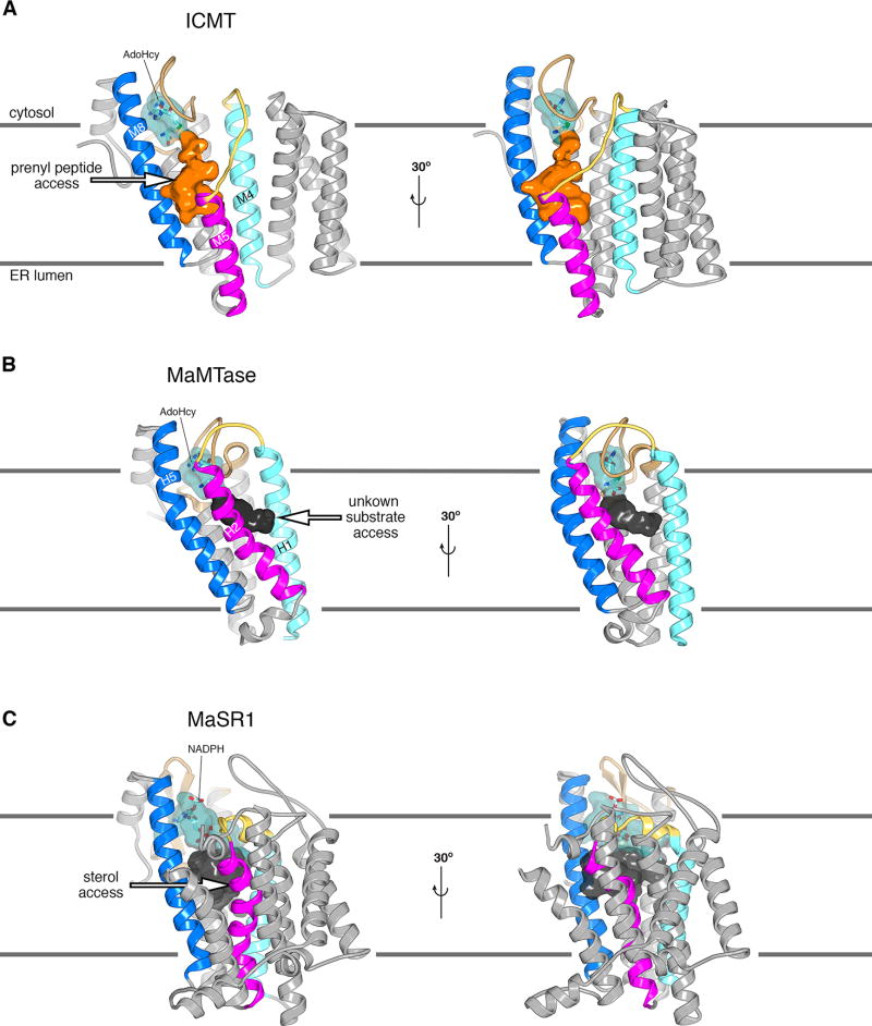 Extended Data Figure 8