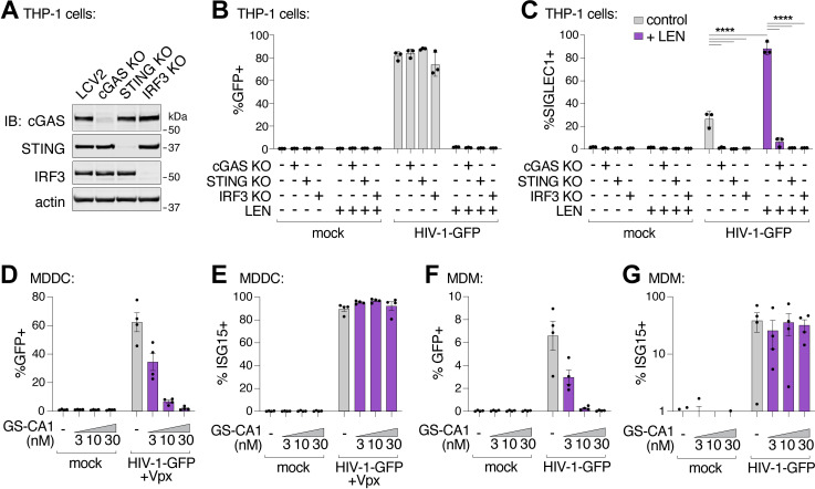 Fig 6