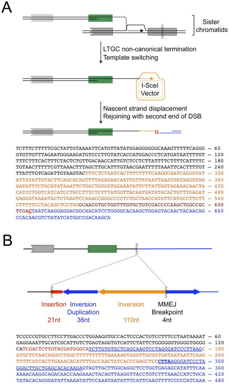 Fig 6