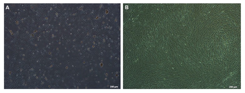 Fig.2