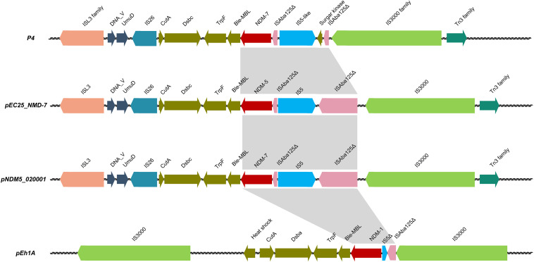 FIGURE 3