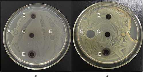 Fig. 9