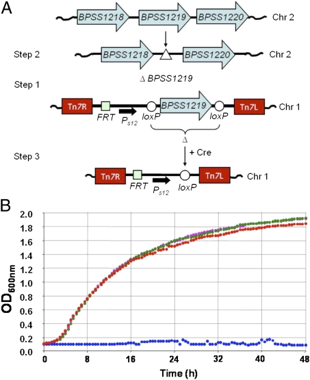 Fig. 3.