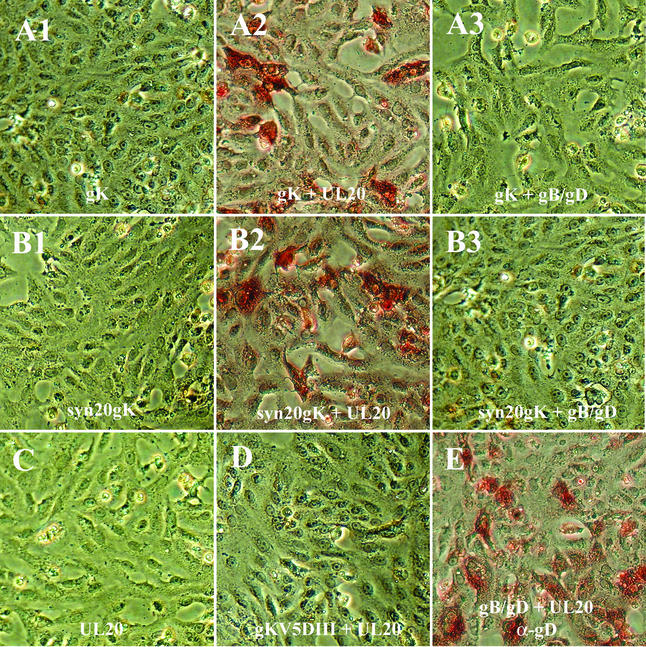 FIG. 8.