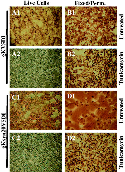 FIG. 5.