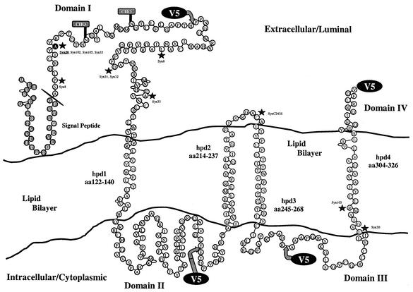 FIG. 9.