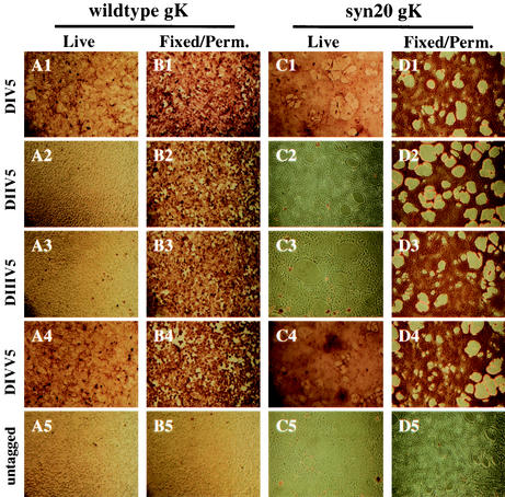 FIG. 6.