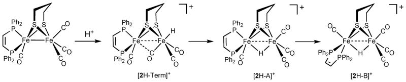 Scheme 2