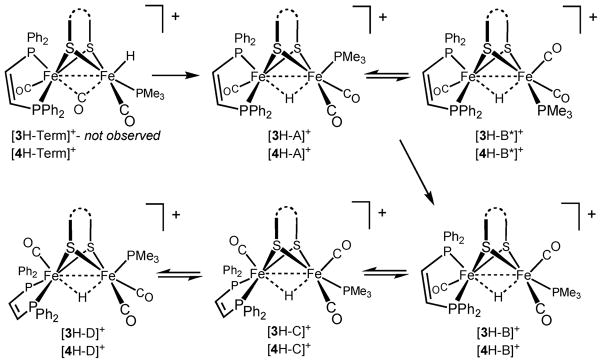 Scheme 3