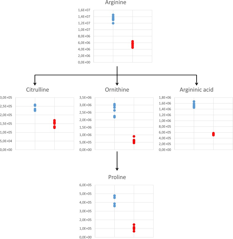 FIG 1