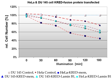 Figure 11