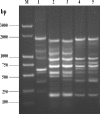 FIG. 3.