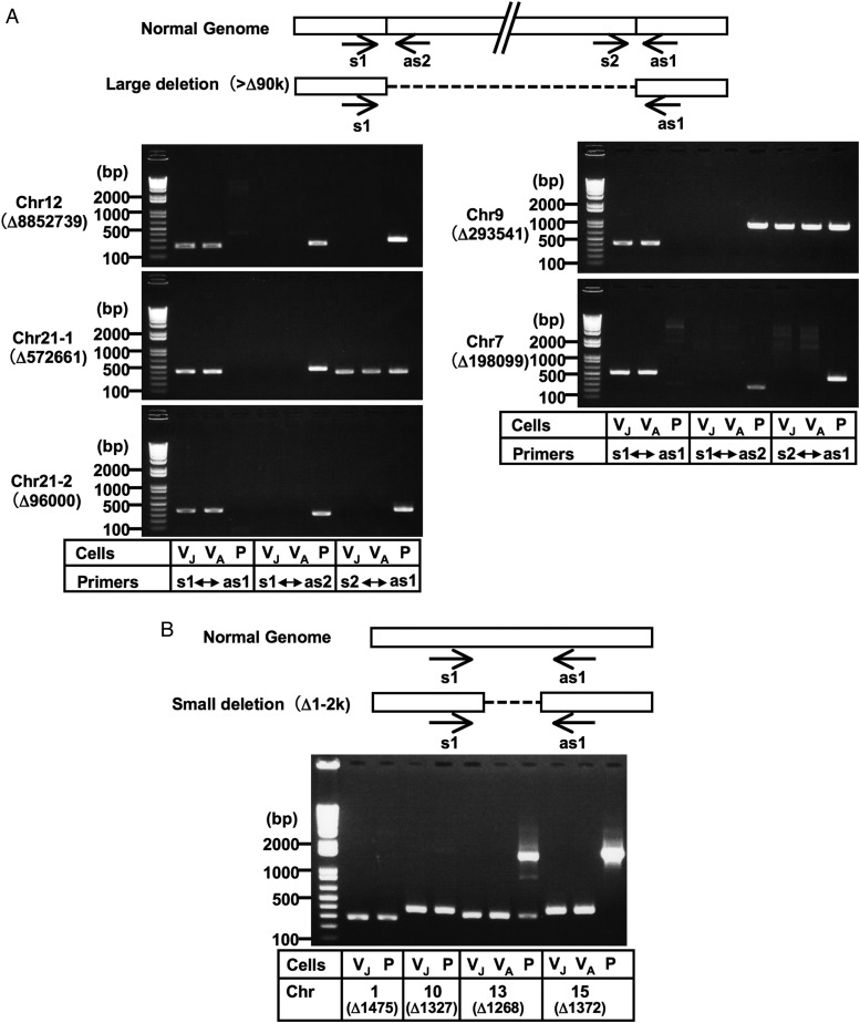 Figure 3.