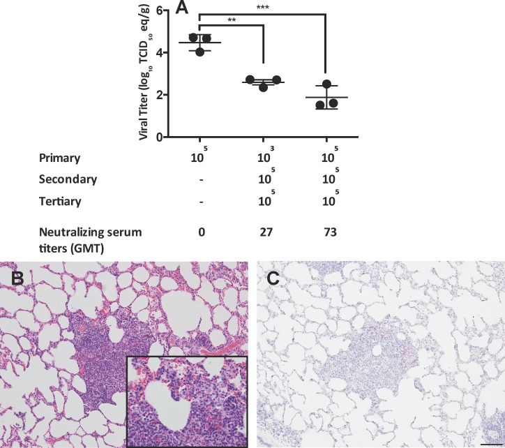 Fig 5