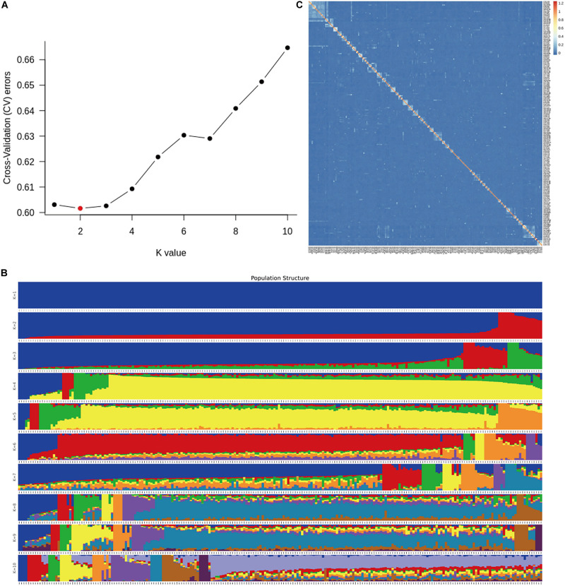 FIGURE 1