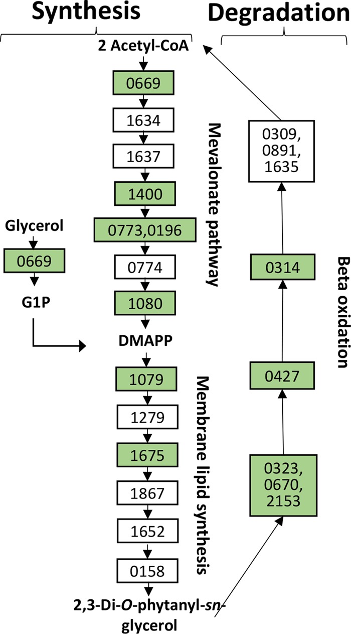 FIG 5