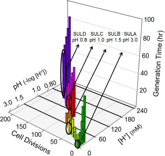 FIG 1